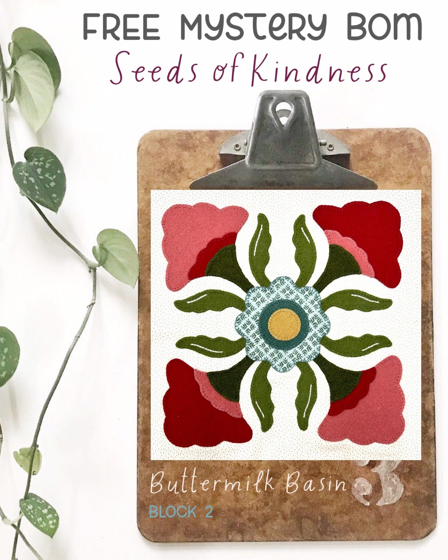 Seeds of Kindness – Buttermilk Basin